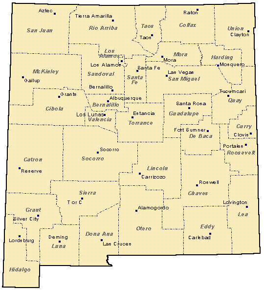 New Mexico Map of Counties